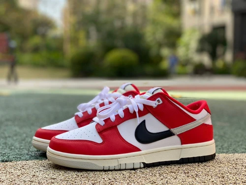 Nike SB Dunk Chicago Split White Red DZ2536-600