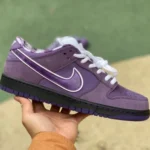 Nike SB Dunk Low Purple Lobster BV1310-555