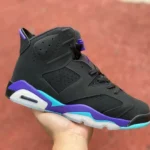 Air Jordan AJ6 Aqua Black Purple CT8529-004