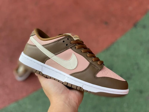 Nike Dunk SB Low Stussy Pink Brown 304292-671