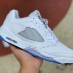Air Jordan 5 Low GS White Silver 819172-122