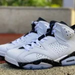 Air Jordan 6 Reverse Oreo White Black Premium Edition CT8529-112