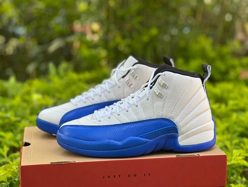 Air Jordan 12 Blueberry White Blue Sneakers CT8013-140