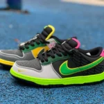 Nike Dunk Low What The Ducks Multicolor HV1454-001