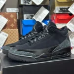 Air Jordan 3 Black Cat