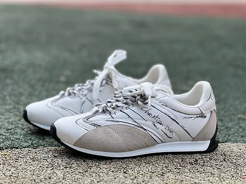 DIOR D-Sketch White Grey Shoes