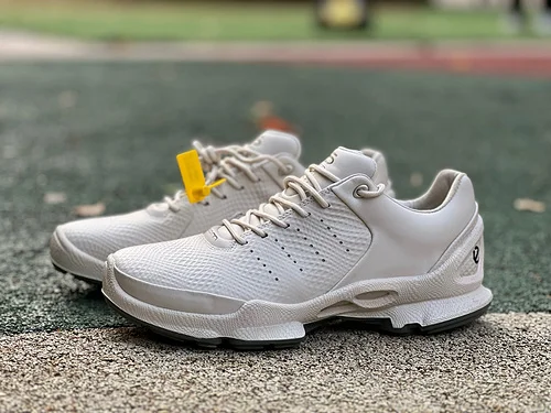 ECCO Biom C Low Top Hiking Shoes