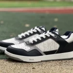 DIOR B27 Low Top Black Grey Shoes