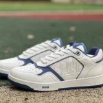 DIOR B27 Low Top White Blue Shoes