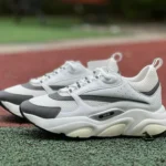 DIOR B22 Mesh White Grey