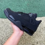 OG Pure Original AJ4 Black Cat 2025 FV5029-010