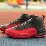 OG Pure Original AJ12 Retro Flu Game 2025 CT8013-002