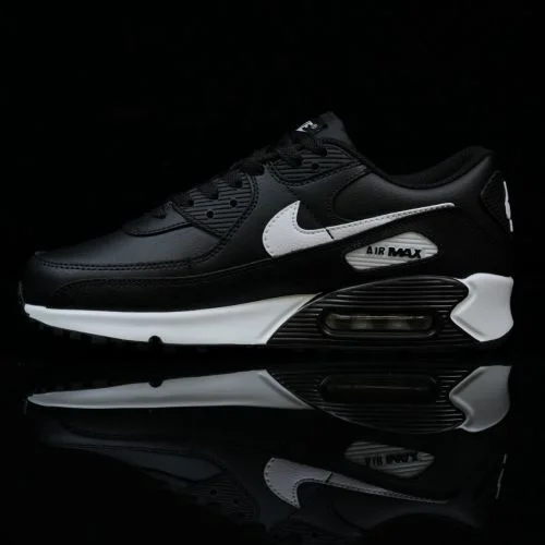 PB-MAX Nike Air Max 90 Running Shoes Black White Mesh CD6864-029