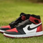 AJ1 Black Toe Ruby FD2596-602