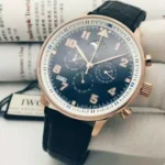 IWC Watch
