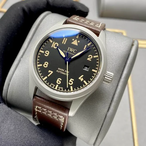 IWC Watch IWC 40X13mm