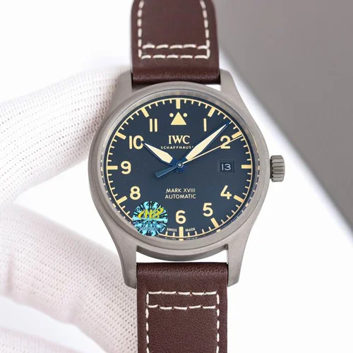 IWC Watch