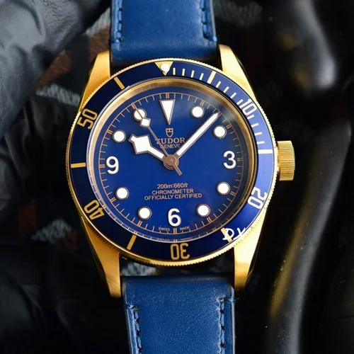 Tudor Watch Tudor 42mm 10nms