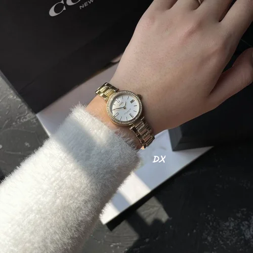 Coach Watch Coach 10nms