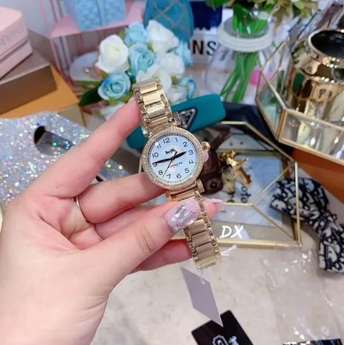 Coach Watch Coach 22mm 2nms