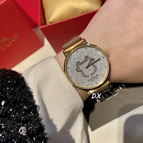 Diesel Watch Diesel 2nms