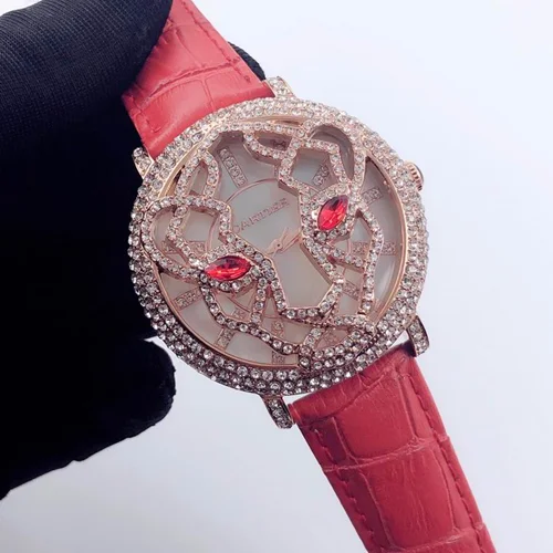 Dior Watch