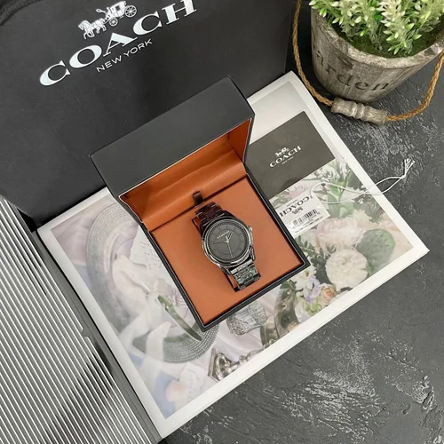 Dior Watch Dior 19mm