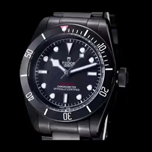 Tudor Watch