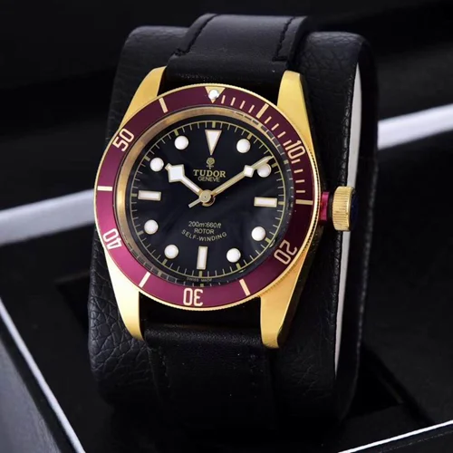 Tudor Watch Tudor 42mm watch