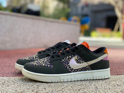 Nike Dunk Low "Rainbow Trout" FN7523-300